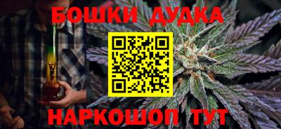 индика Партизанск