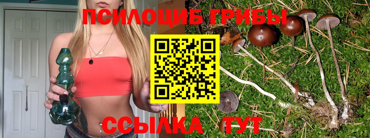 Псилоцибиновые грибы ЛСД Тосно